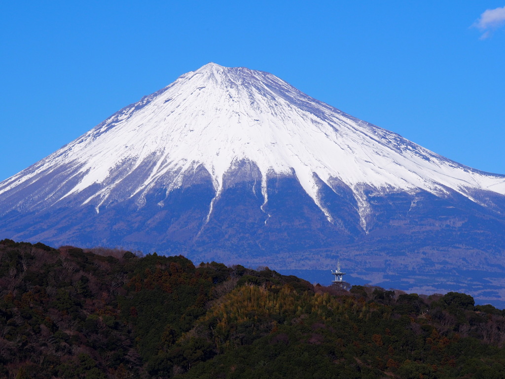 富士川SAからの富士山