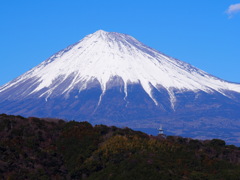 富士川SAからの富士山