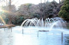 大宮公園の噴水