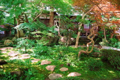 道sirube
