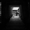 何を想う