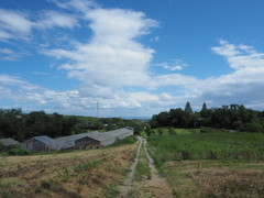 牧場と青