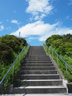丘に続く道