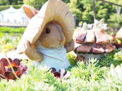 ピータラビットに出会った