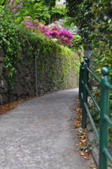 路地