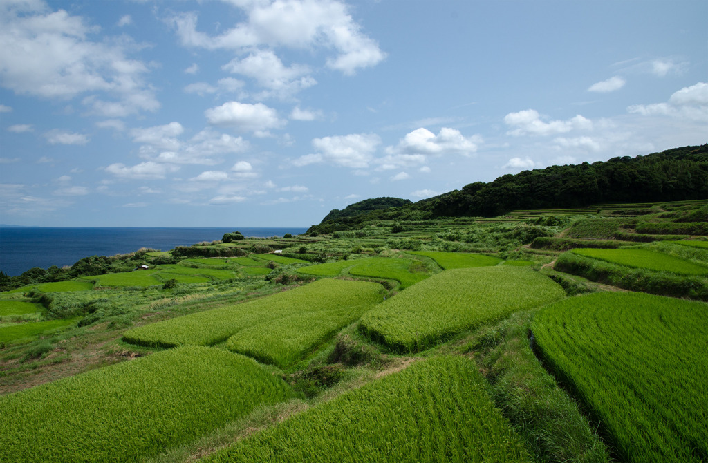 油谷東後畑