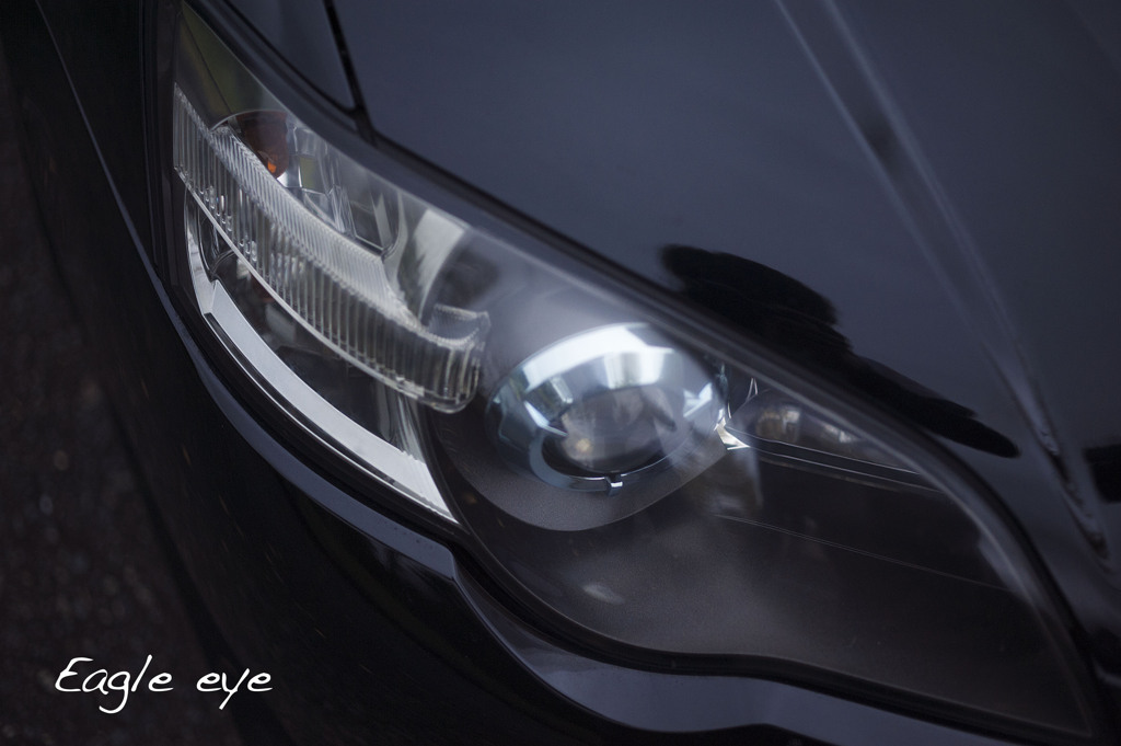 Eagle eye