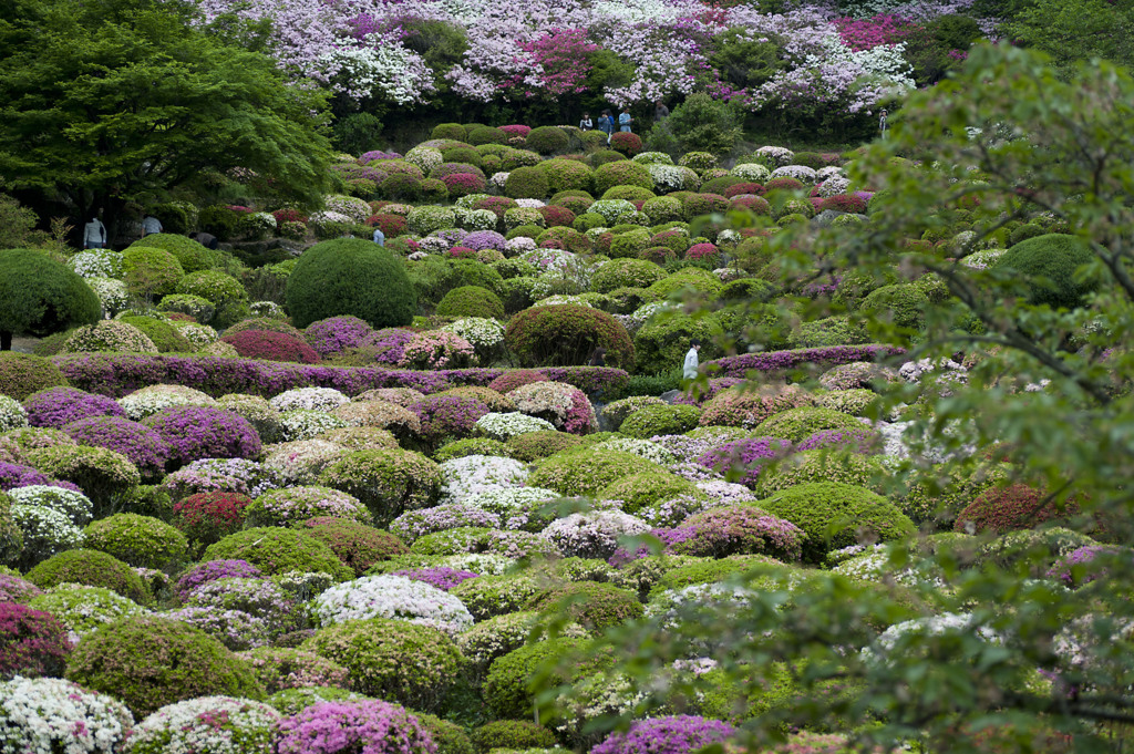 絶景かな！絶景かな！