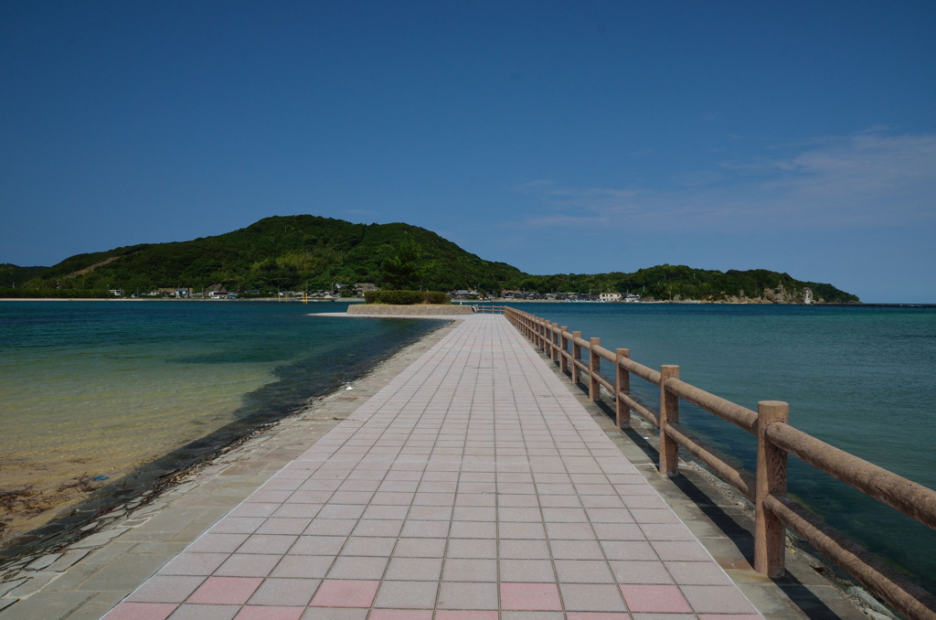 阿川ほうせんぐり海浜公園 Ⅰ