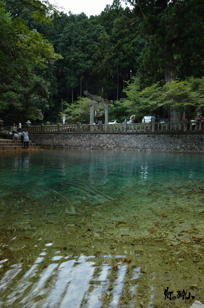 半田弁天湧泉