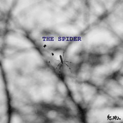 THE SPIDER