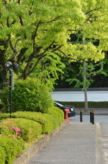 今日なにげに・・・