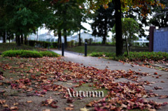 Autumn