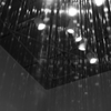 降る雨