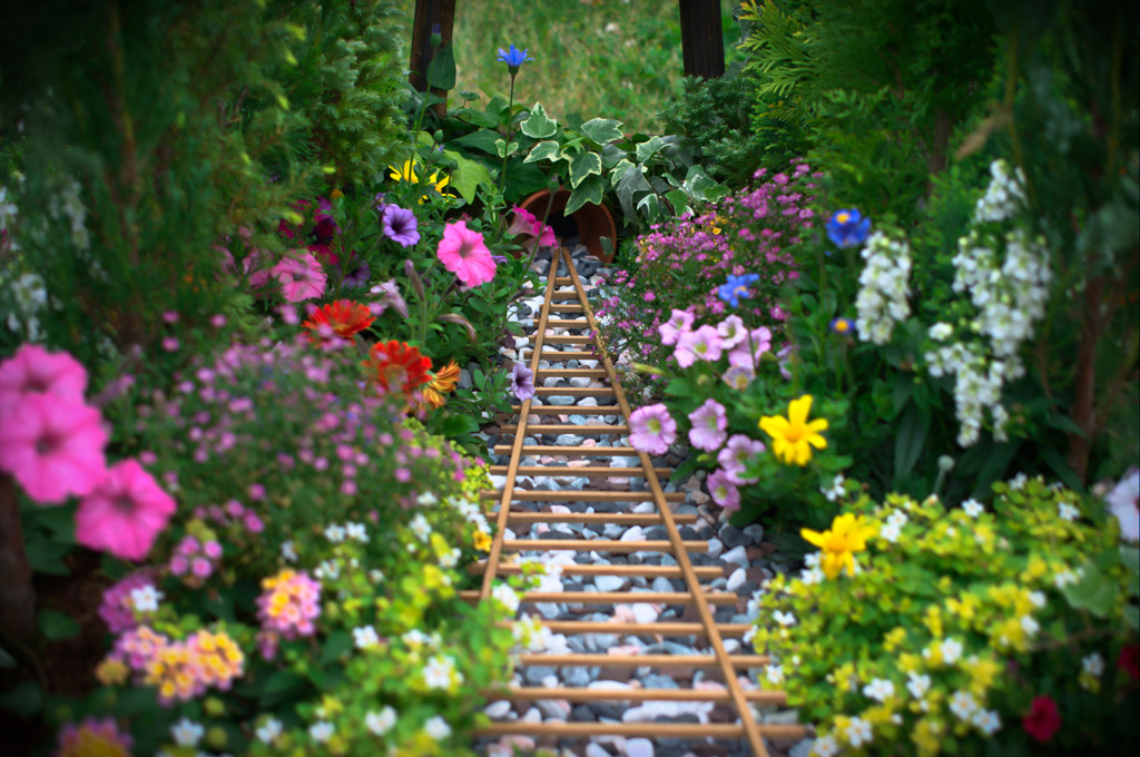 花道路線