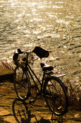 川沿いの自転車