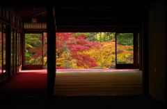 京都　天授庵