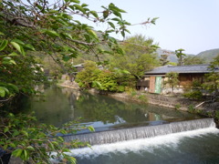 DSCN0707