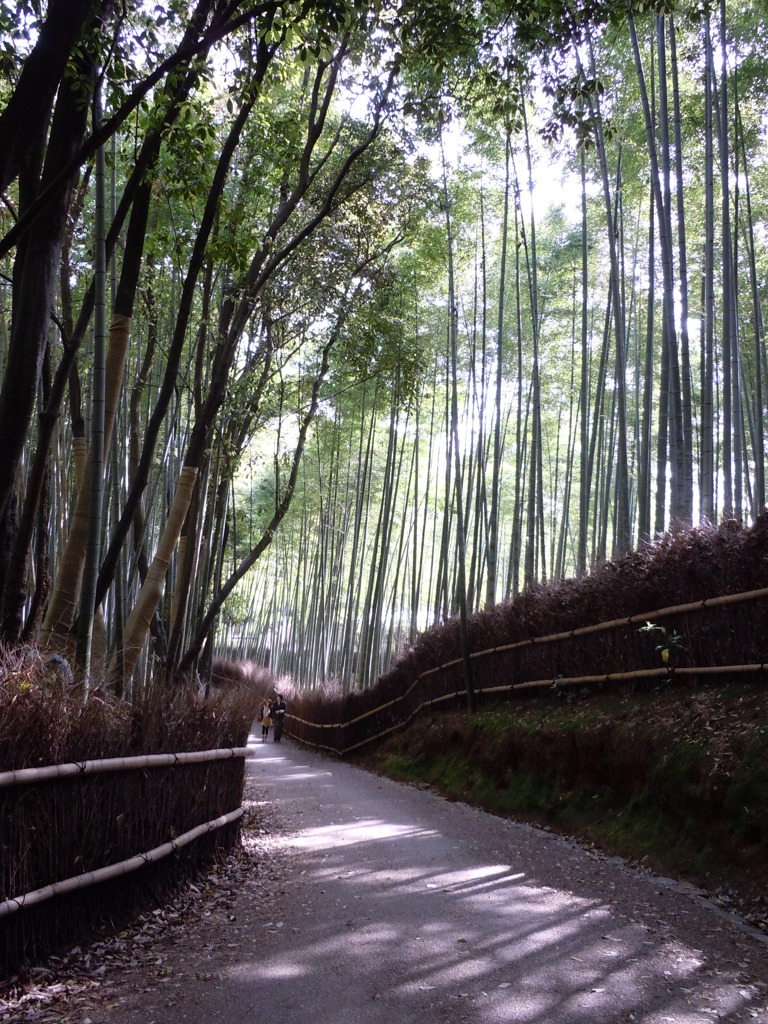 ぽかぽかの陽気