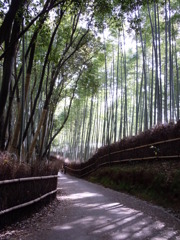 ぽかぽかの陽気