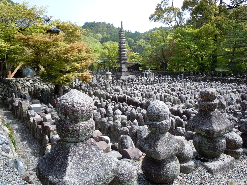 化野の風景