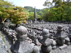 化野の風景