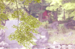 5月のよくはれた日に