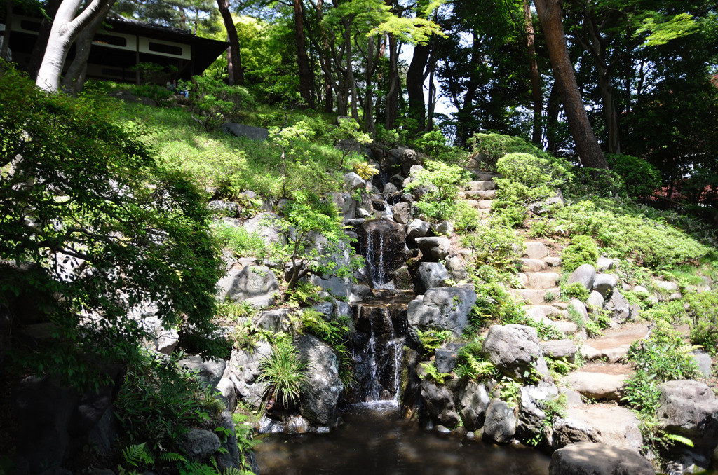 滝 1