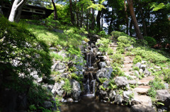 滝 1