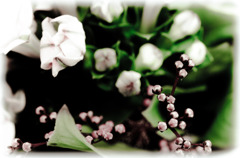 le pouce vert