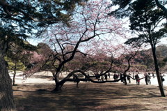 世界のうち側から