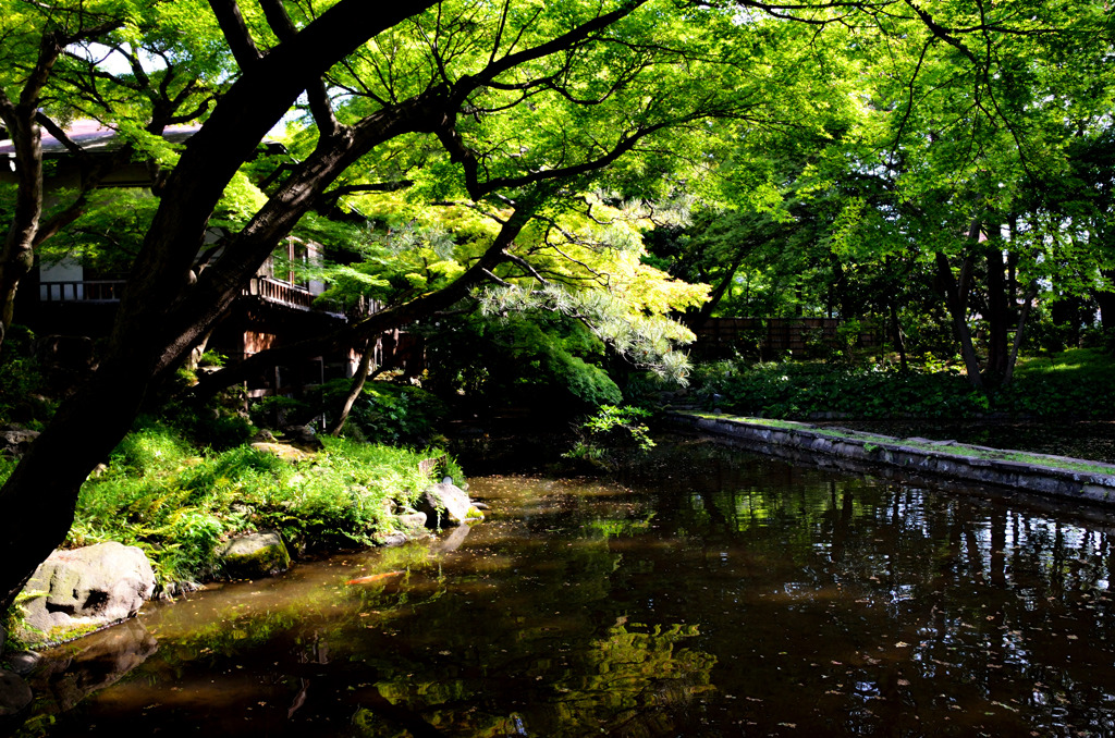 小石川後楽園