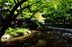 小石川後楽園