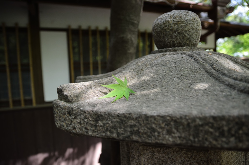 紅葉亭にて 3