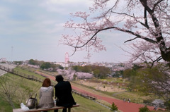 狭山公園