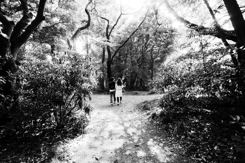 つきぬける　未来、