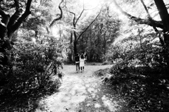 つきぬける　未来、