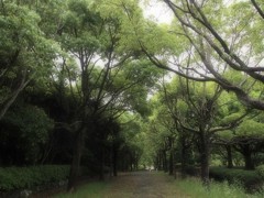 散歩