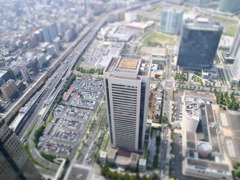 みなとみらい地区で一番高い場所