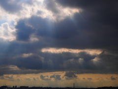梅雨の合間のひざし