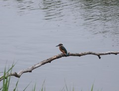 自宅前の公園