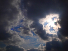 梅雨の合間のひざし