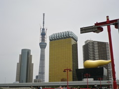 IMGP0179