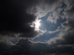 梅雨の合間のひざし