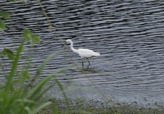 自宅前の公園