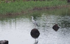 自宅前の公園