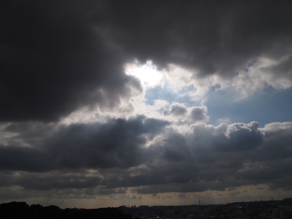 梅雨の合間のひざし