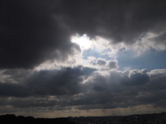梅雨の合間のひざし