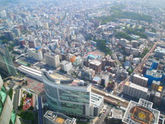 みなとみらい地区で一番高い場所