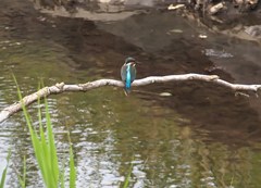 自宅前の公園